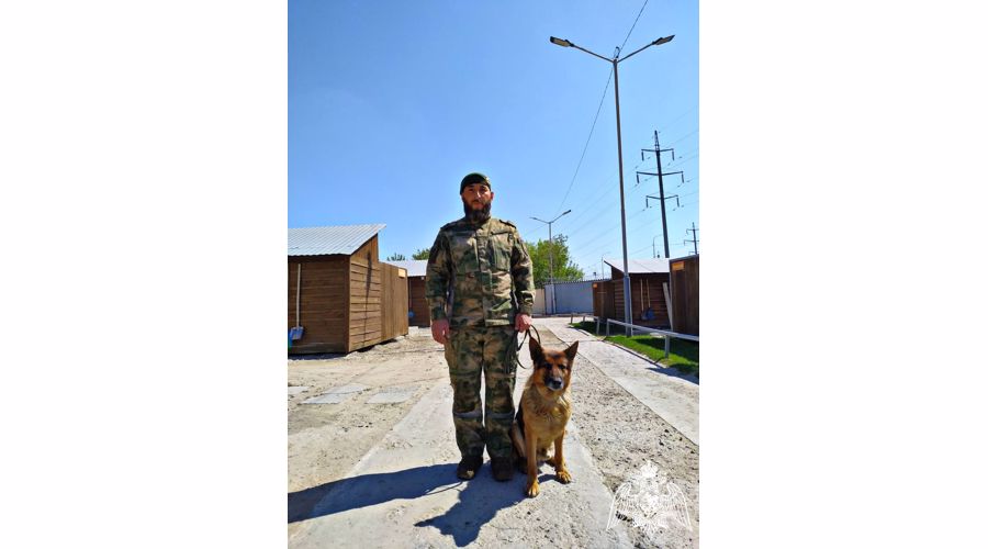 Кинолог ОМОН «АХМАТ-1» стал лучшим выпускником Центра подготовки кинологической службы Уральского округа Росгвардии