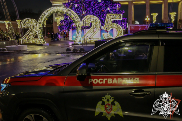 Росгвардия приняла участие в обеспечении правопорядка и общественной безопасности в период встречи Нового 2025 года