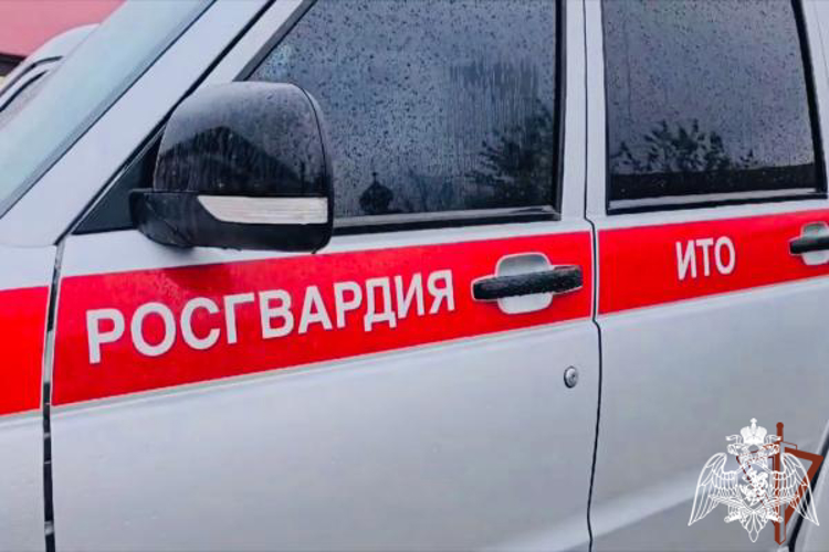 В Чеченской Республике взрывотехники Росгвардии уничтожили более 600 взрывоопасных предметов