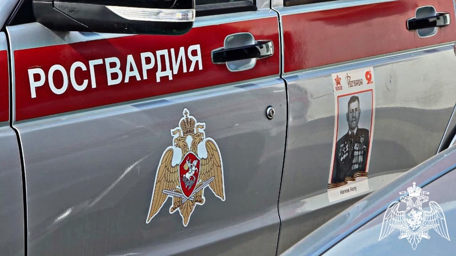 Сотрудники Росгвардии присоединились к Всероссийской акции «Бессмертный автополк» в Чеченской Республике